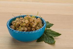 White currant on plate photo