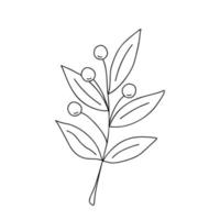 Outline plant decorative branch with leaves and berries for home decor, Christmas, New Year festive holiday arrangement, vector illustration for seasonal greeting card, invitation, banner