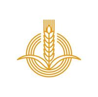 Agriculture icon, wheat spike, rye or rice ear vector