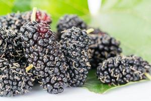 Close up mulberry fruit with green leaf photo