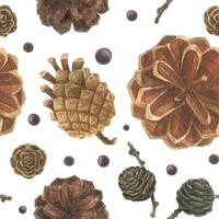 Cones and berries seamles pattern vector