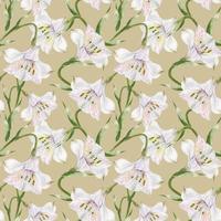 acuarela alstroemeria beige de patrones sin fisuras vector