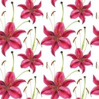 Stargazer lily watercolor pink seamless pattern vector