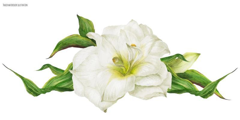 Wedding vignette with white hippeastrum flower