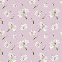 Watercolor white alstroemeria seamless pattern vector