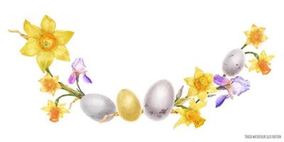 Easter watercolor arc with daffodil and iris flowers and bird eggs vector