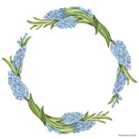 Spring watercolor wreath with hyachinth flowers vector