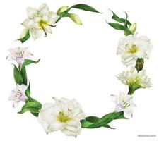 Bridal round shape wreath with white flowers vector