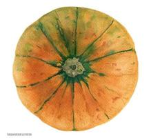 Calabaza verde naranja de carnaval calcada vector