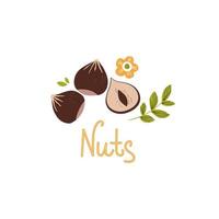 nueces dibujadas a mano sobre fondo blanco. ilustración vectorial vector