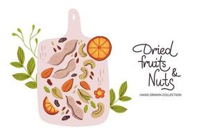 frutas secas y nueces dibujadas a mano. plantilla de diseño de banner de alimentos saludables. ilustración vectorial vector