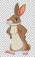 Cute rabbit on grid background vector