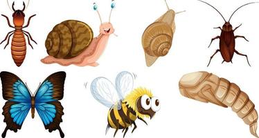 Set of different kinds of insects vector