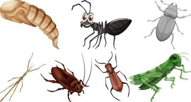 Set of different kinds of insects vector