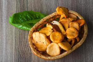 Chanterelle on wood photo