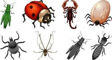 conjunto de diferentes tipos de insectos vector