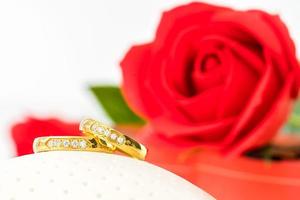 Red roses and gold rings on white photo