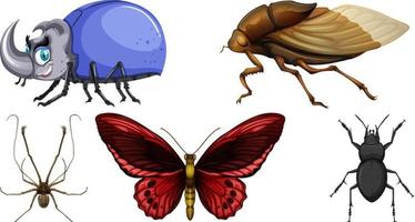 Set of different kinds of insects vector