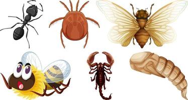 conjunto de diferentes tipos de insectos vector