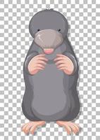 A mole cartoon on grid background vector