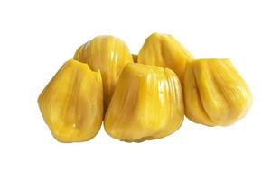 Jackfruit isolated on white background close up top view. photo