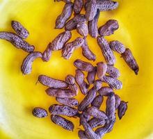 Boiled peanuts on a yellow plate. photo