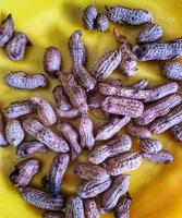 Boiled peanuts on a yellow plate. photo