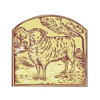 Sheep Side Pasture Tree Etching vector