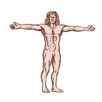 Vitruvian Man Arms Spread Front Etching vector