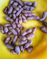 Boiled peanuts on a yellow plate. photo