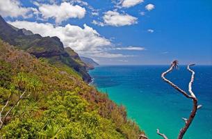 Tropical coast in Hawaii photo