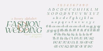 Modern serif elegance font. vector