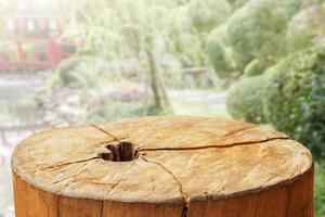 tree stump top with garden blurred background photo