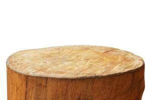 tree stump isolated on white background photo