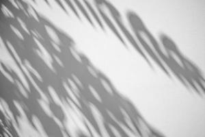 Abstract natural tree leaves shadow on white wall background photo