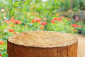 tree stump top with garden blurred background photo