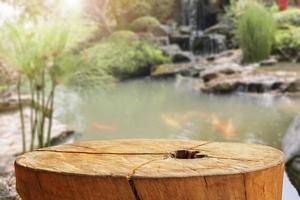 tree stump top with garden blurred background photo