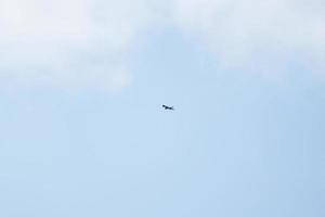 Hawk soars over the blue sky photo