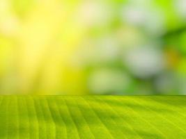 The green banana leaf shelf contrasts with the blurred background and orange light in the morning. photo