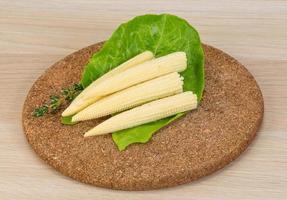 Baby corn dish photo