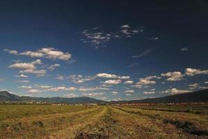 sunny day and dramatic sky... photo