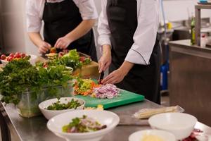 team cooks and chefs preparing meal photo