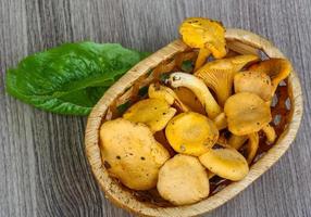 Chanterelle in a basket on wooden background photo