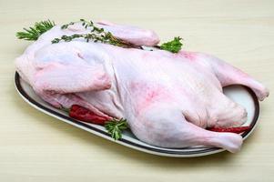 Raw duck on the plate and wooden background photo