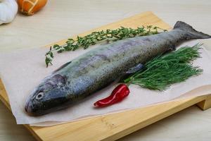 Raw trout on wooden board and wooden background photo