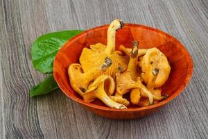 Chanterelle in a bowl on wooden background photo
