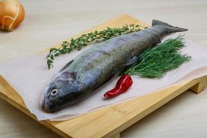 Raw trout on wooden board and wooden background photo