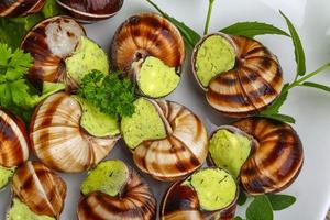 Escargot on the plate close up view photo