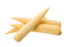 Baby corn on white photo