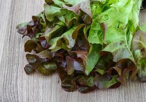 Oak salad on wooden background photo